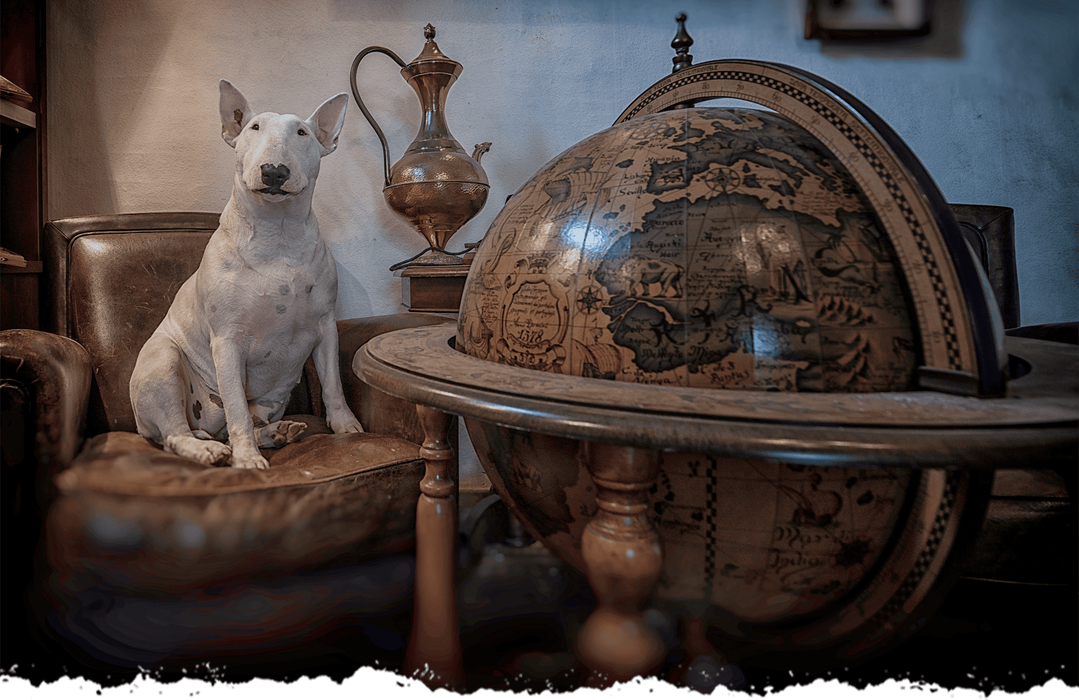 Alice van Kempen Compass
