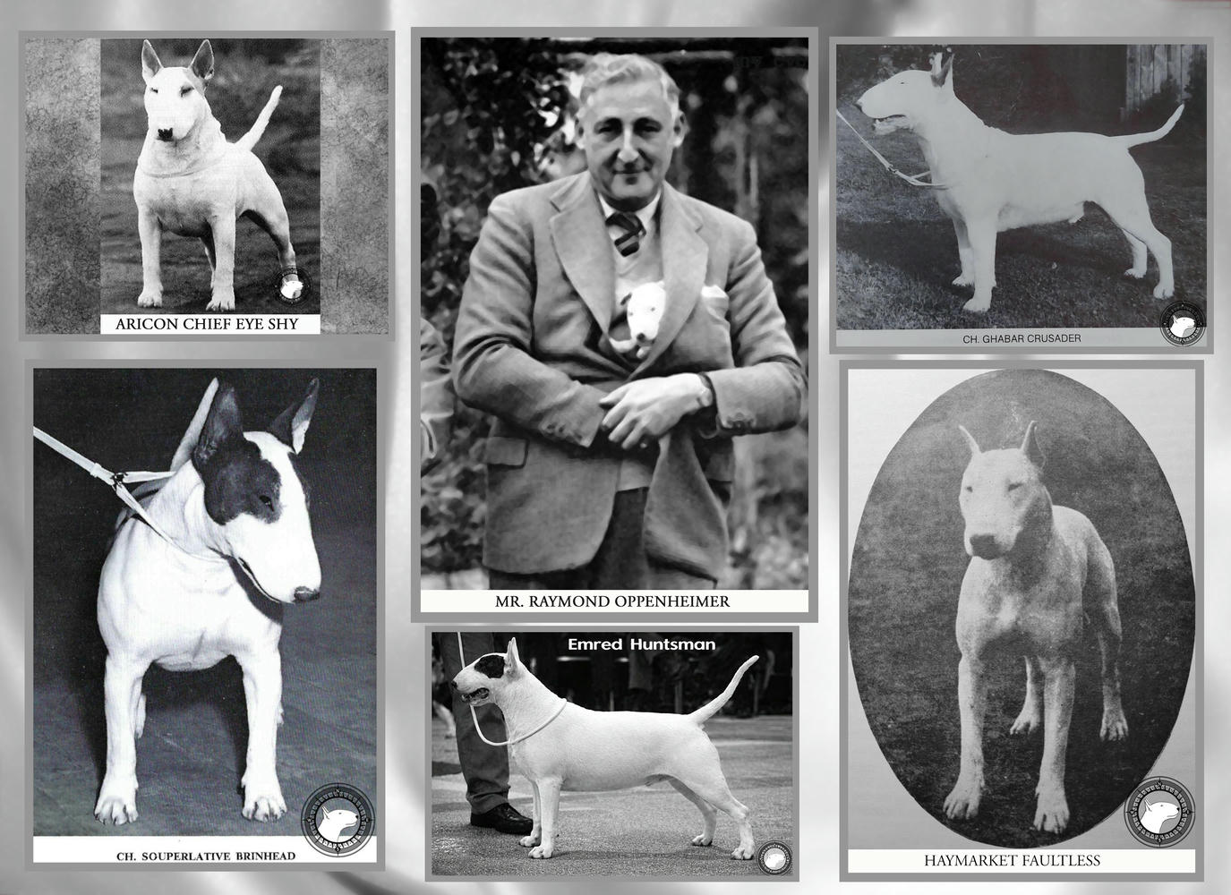 The Breed Through Time