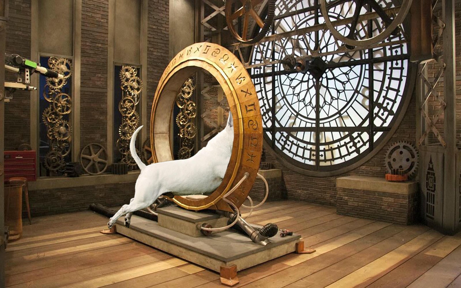 The Power of the Pedigree