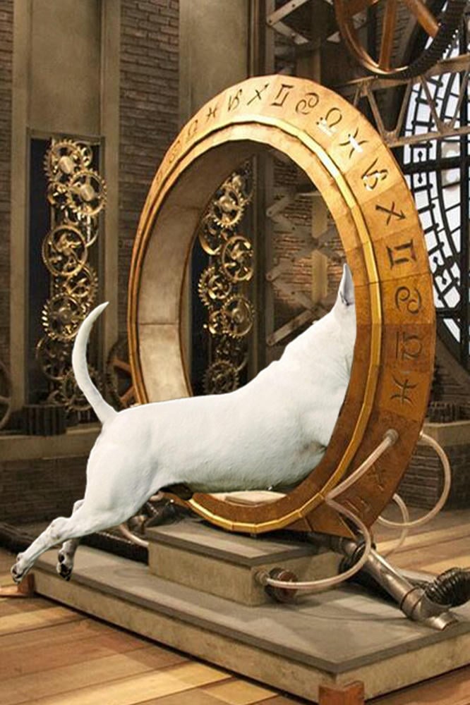 10 generation pedigree chart