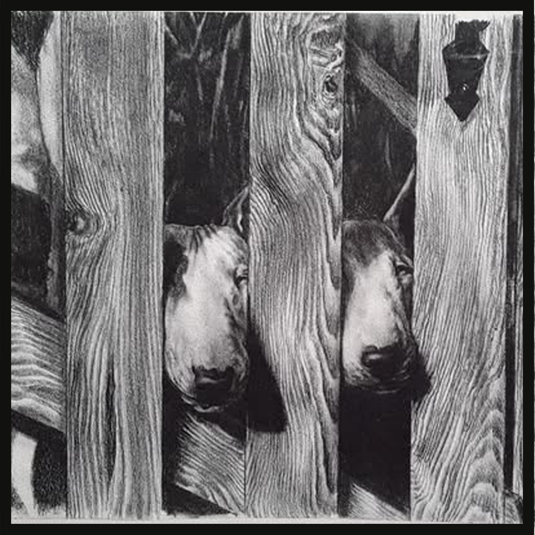 Artwork 5