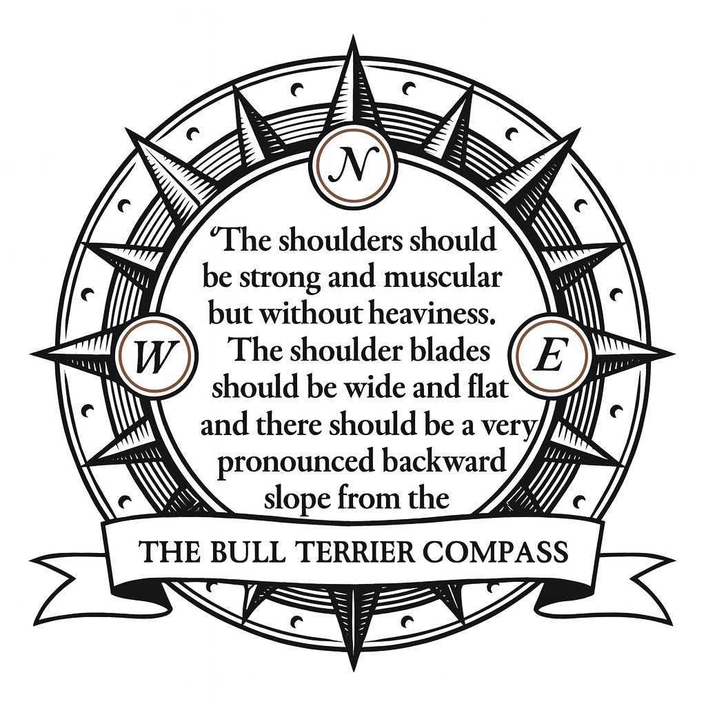 Bull Terrier Blog - Articles, Tips, and Stories from Bull Terrier ...