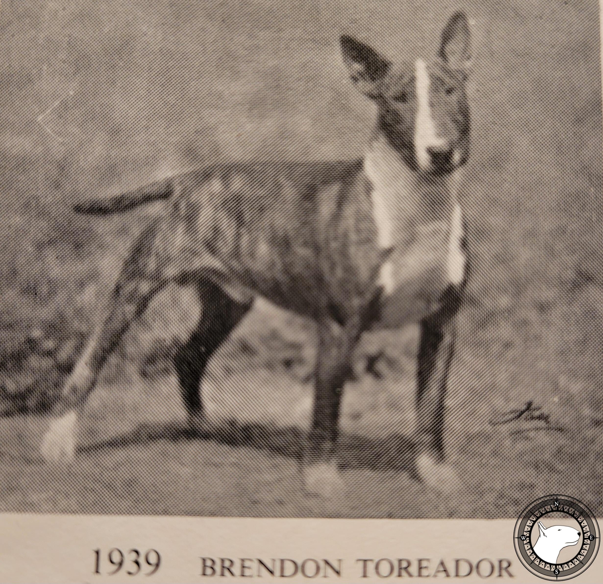 BRENDON TOREADOR