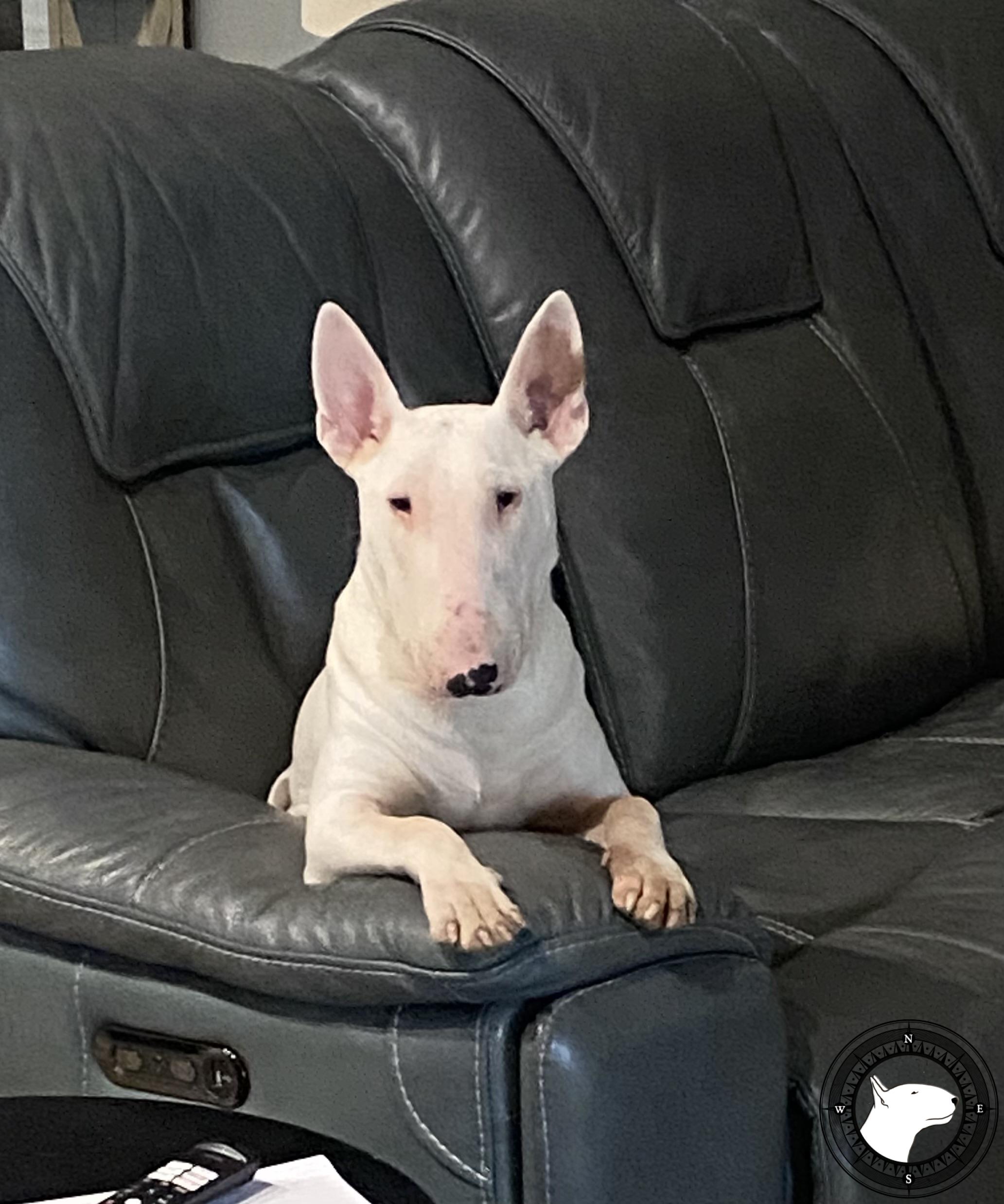 GORBAIN JURICS TRUE TO YOU