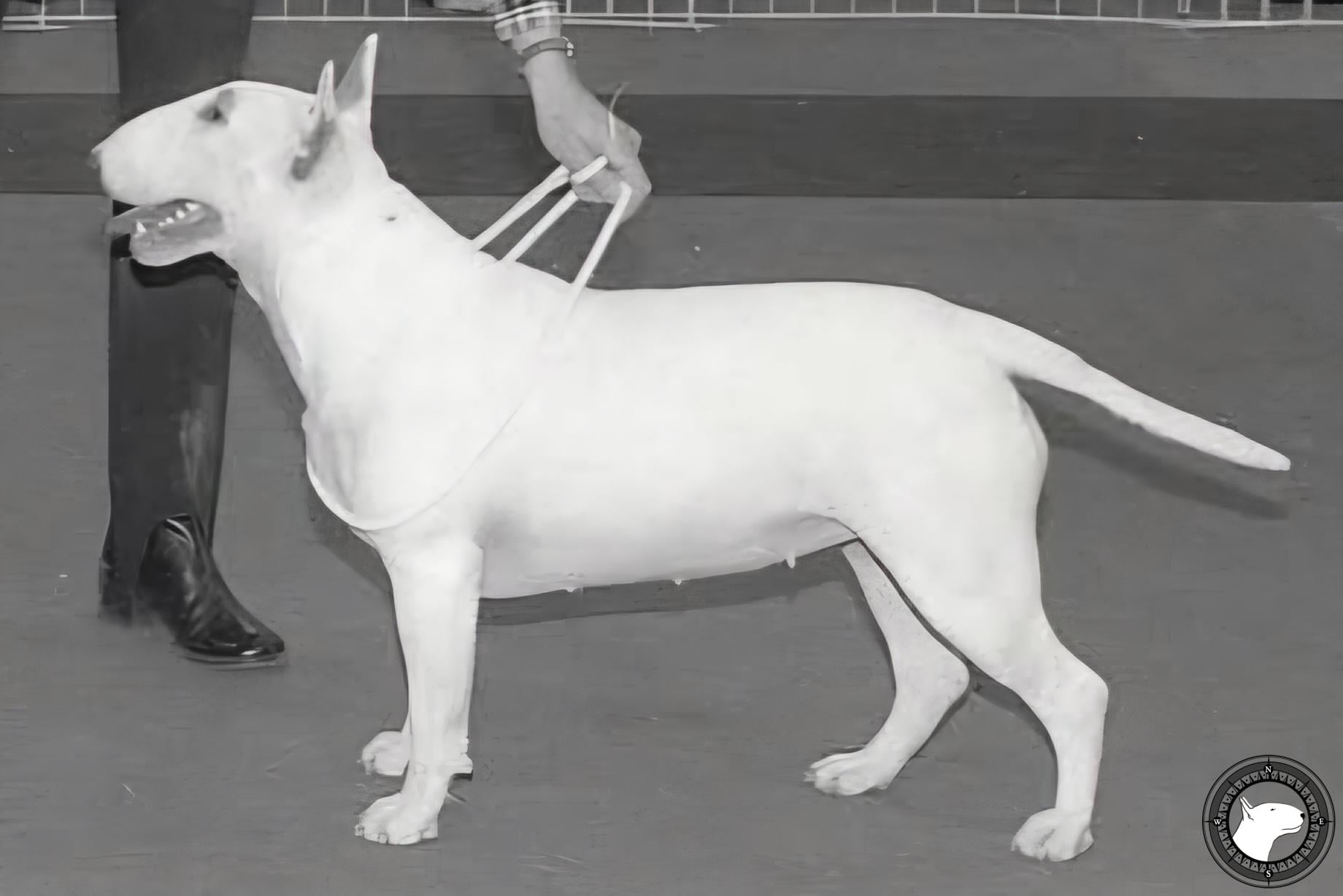 LAURA BELLE AT ISHABA