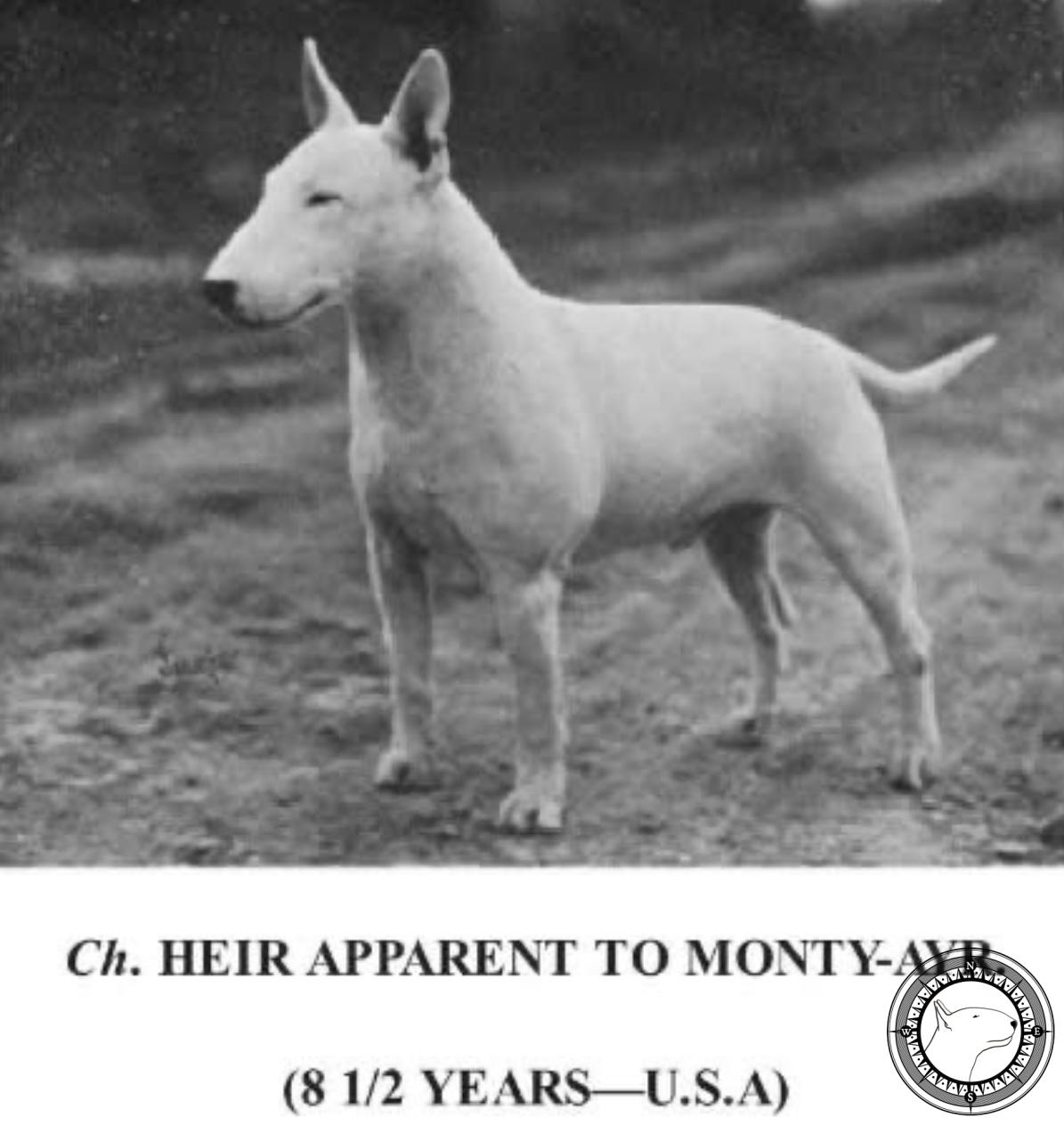 HEIR APPARENT TO MONTY-AYR