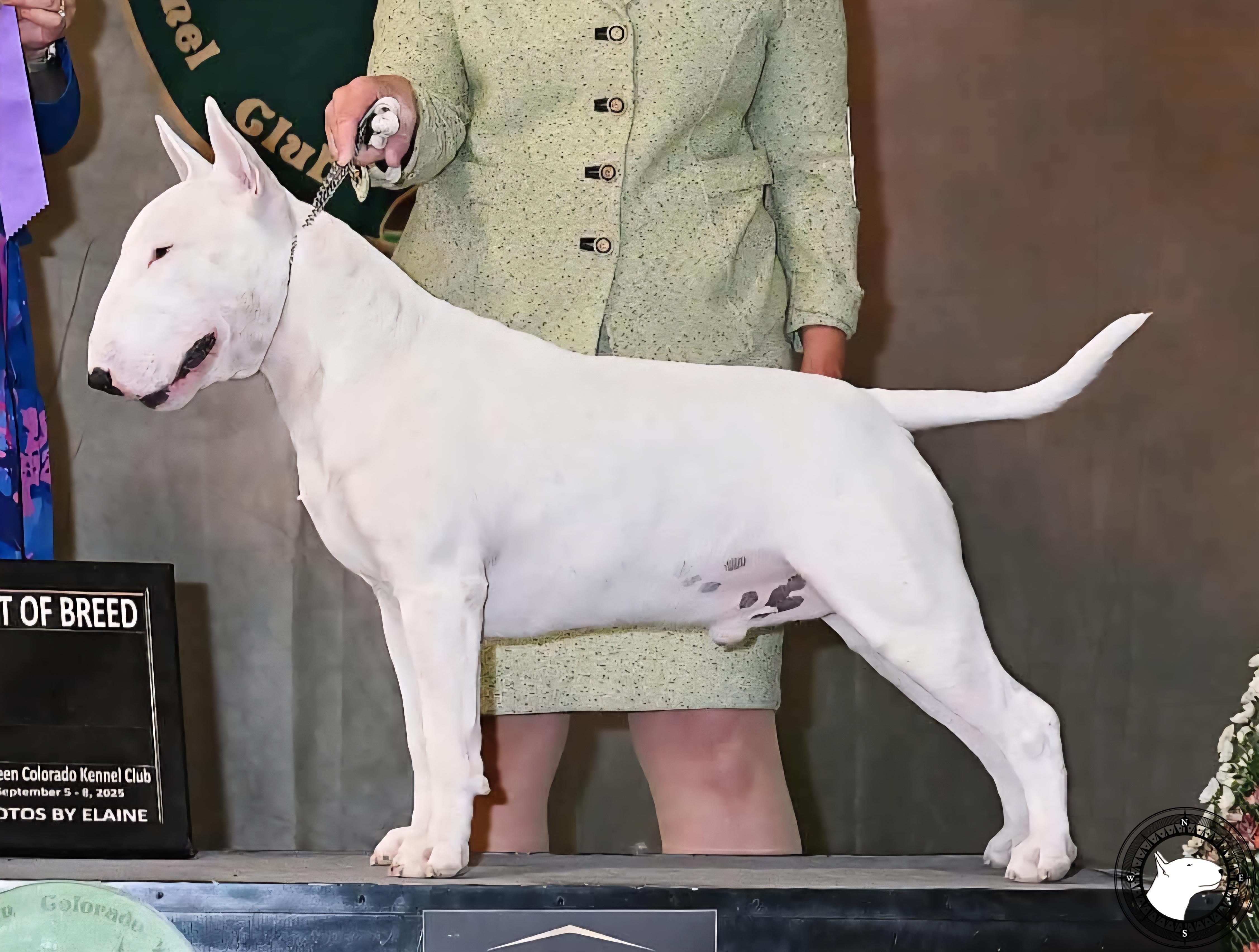 ACTION ROCKET MAN BY OLD FORGE