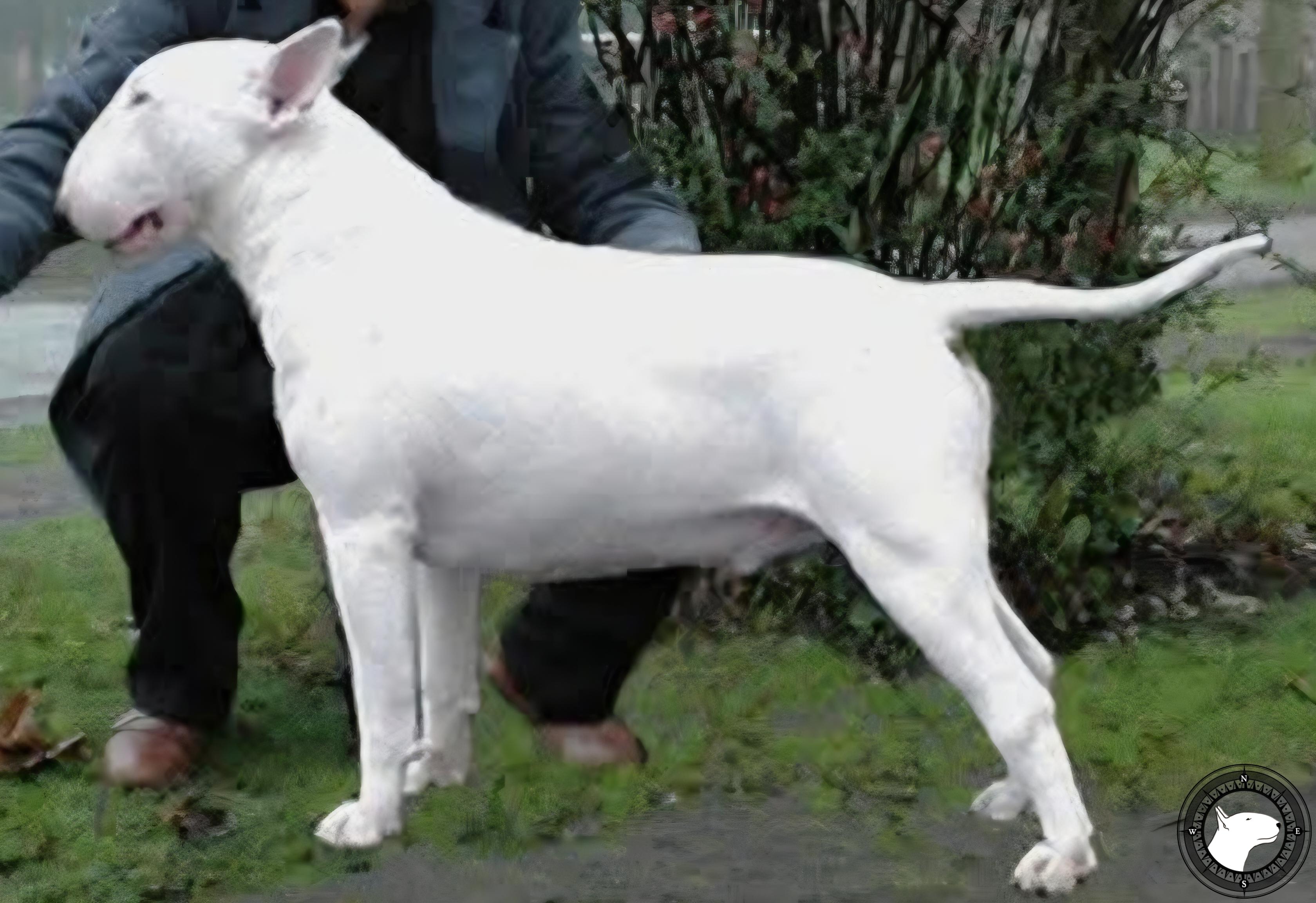 NOSRETTAP SEACAPTAIN BY BILLMARIS