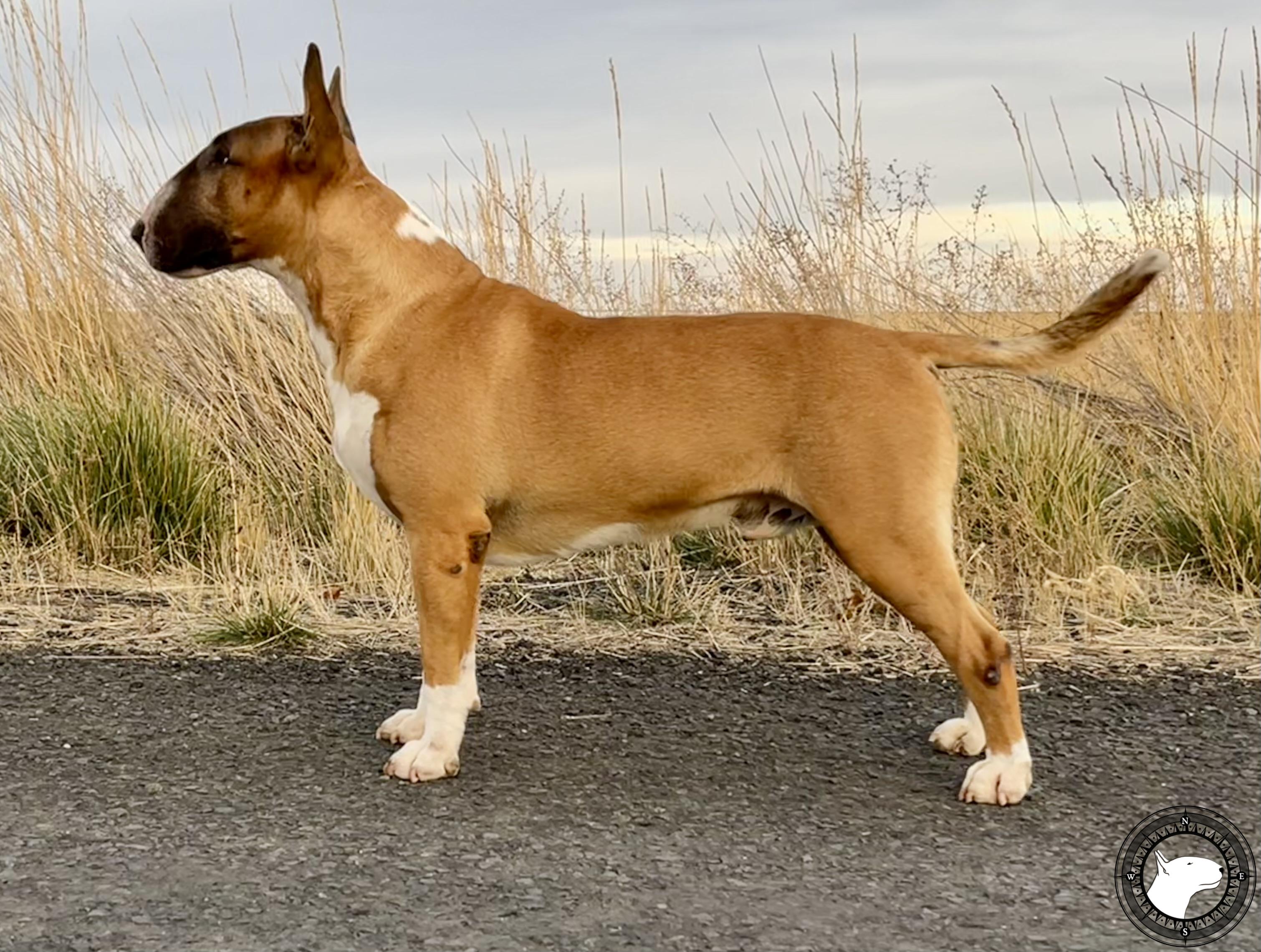 REBELSIDE SECRETARIAT