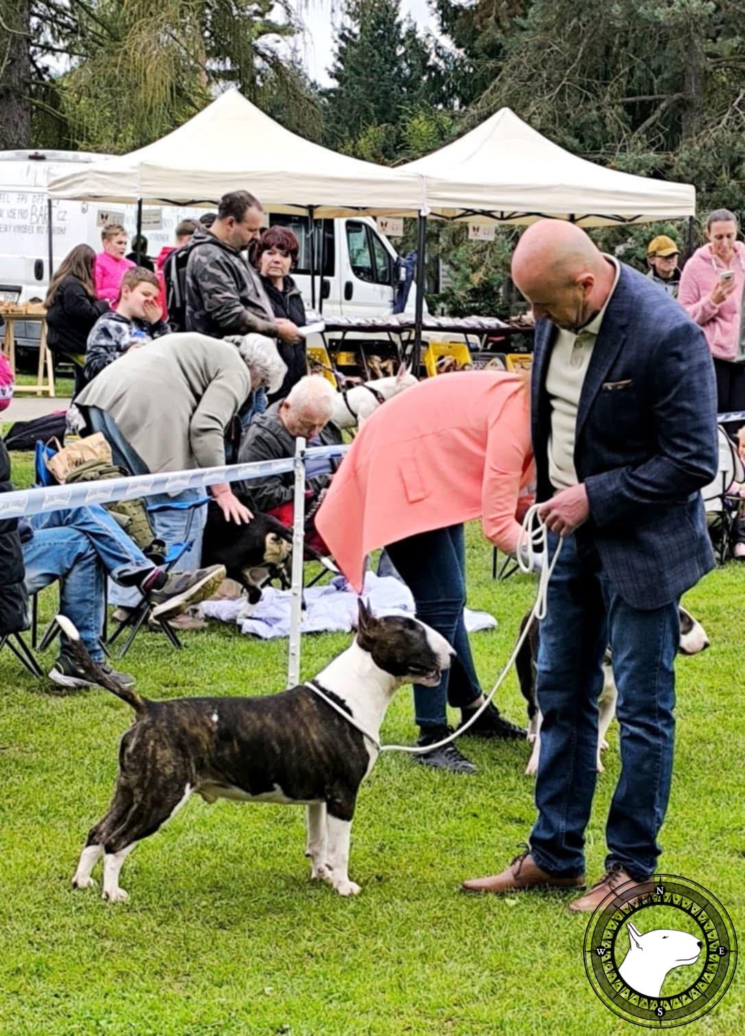 REBELSIDE ACHILLEUS JUNIOR