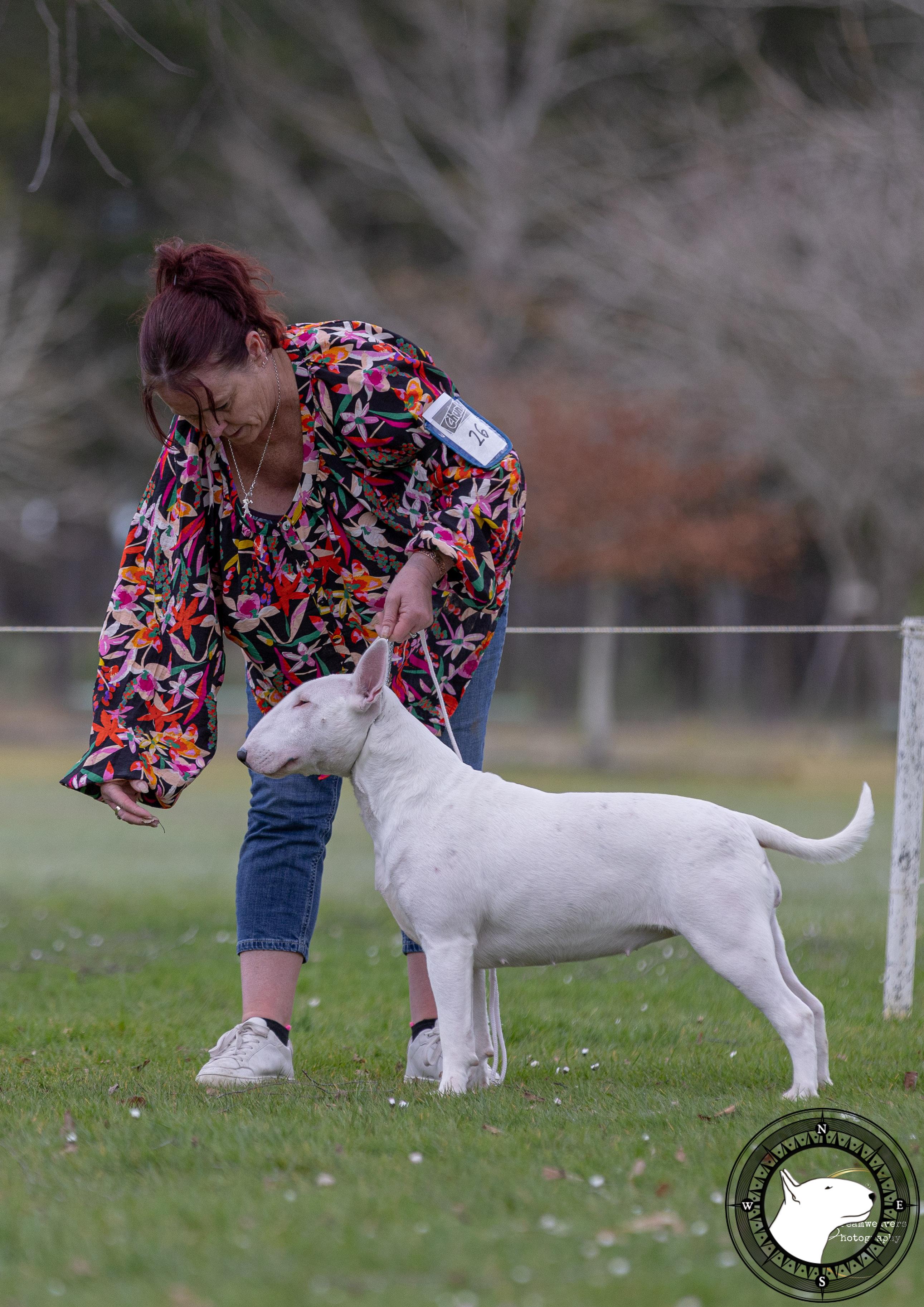 RAIDEN COLOUR BE GONE