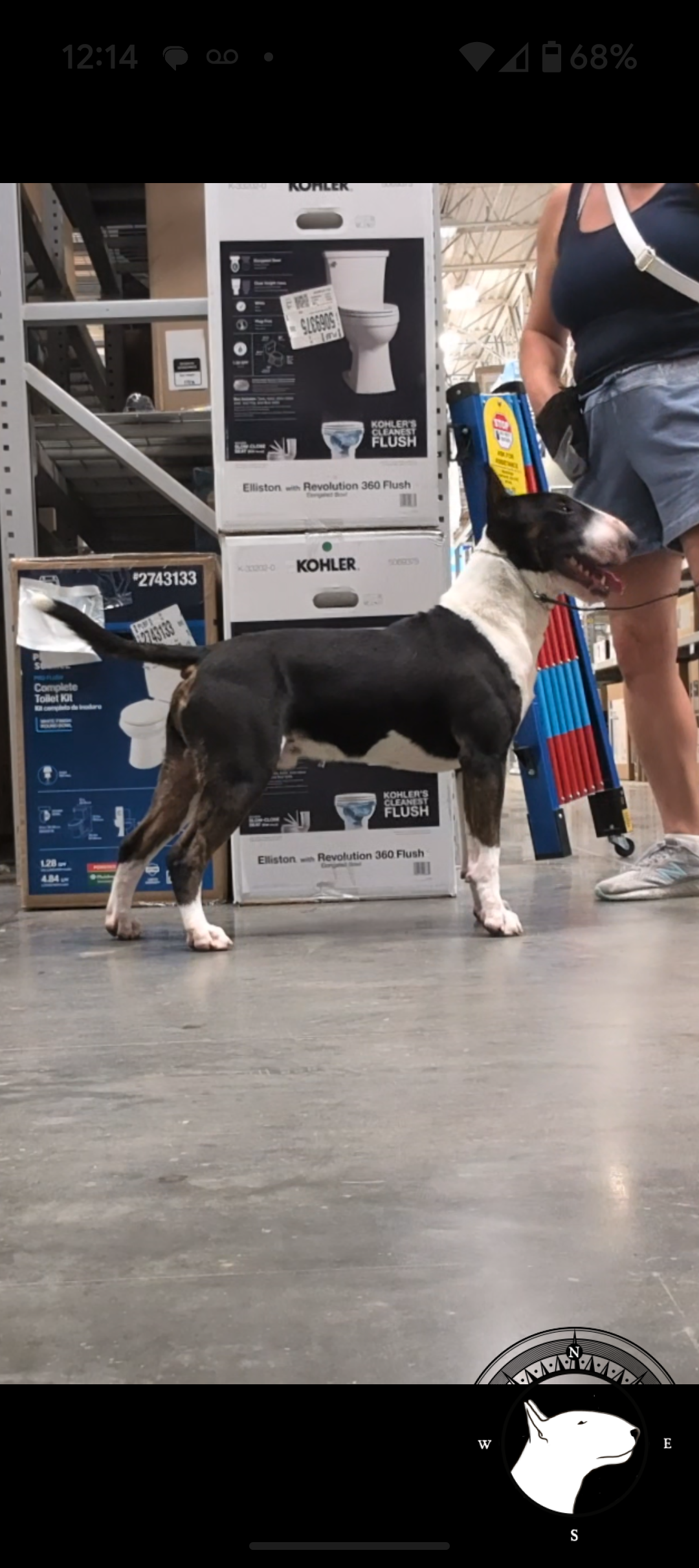 BOP RIDIN SOLO WITH A POCKET FULL OF SHELLS