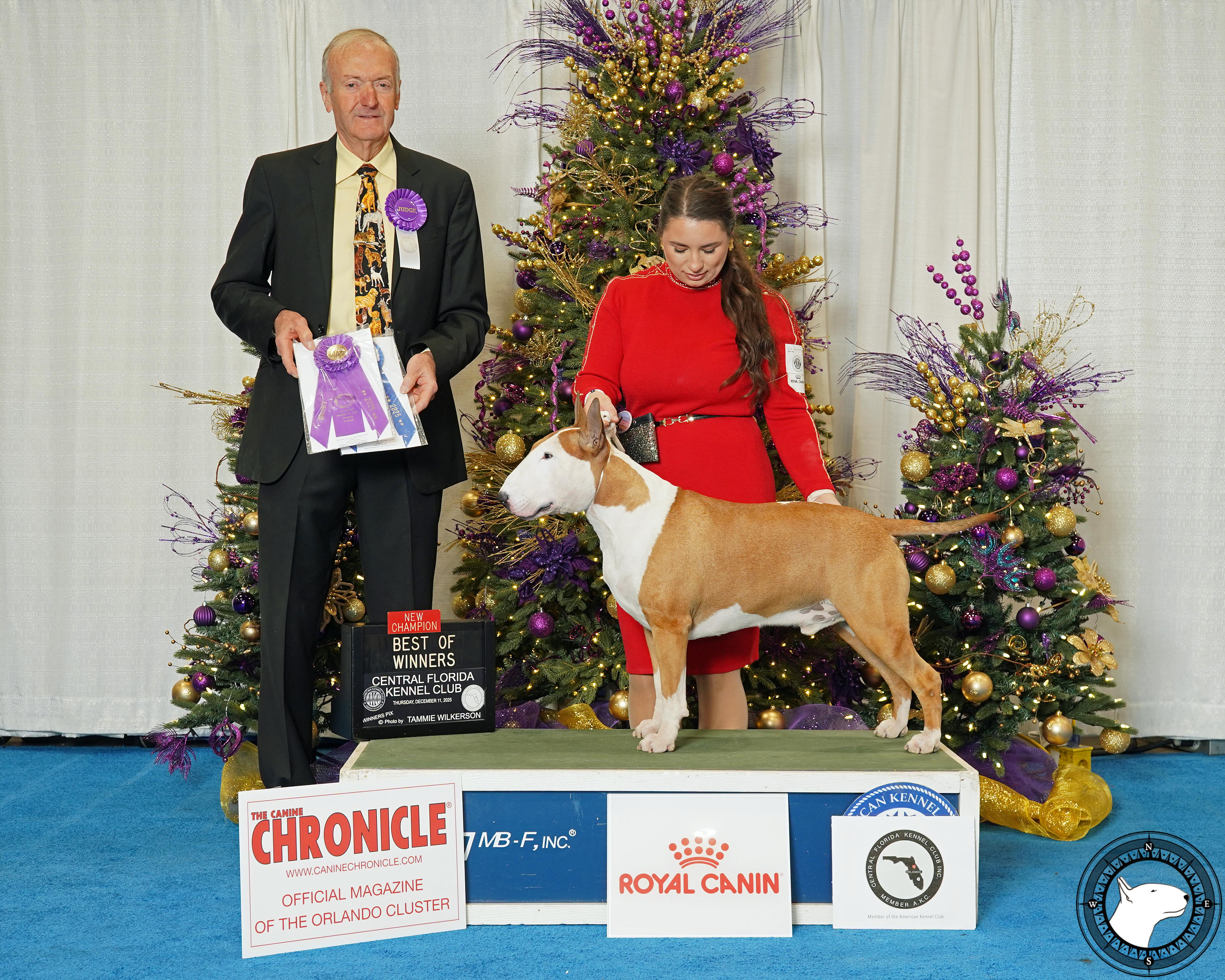 SINABAR NAUTI BUT NICE