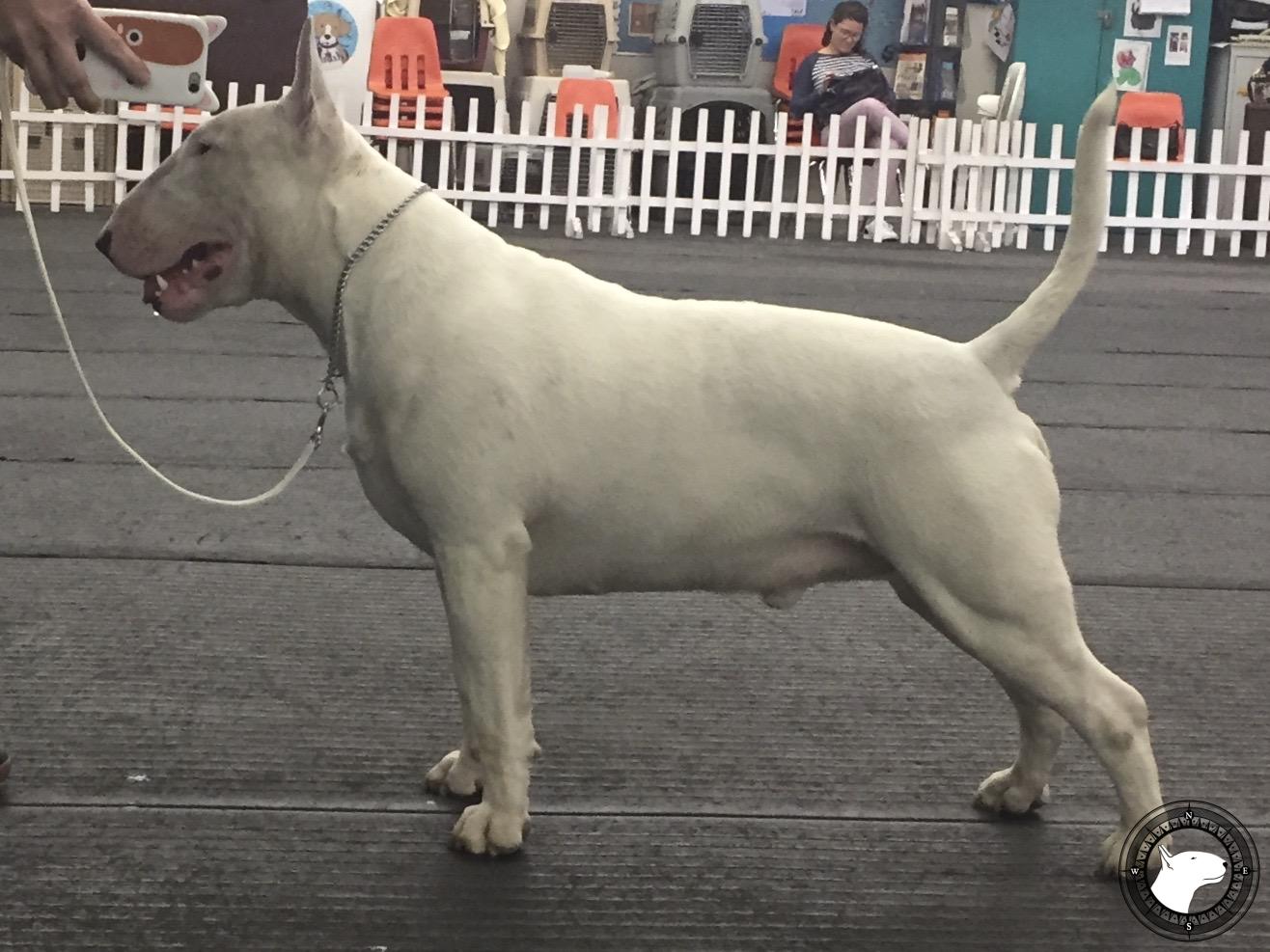 SOQUEL MILLENIUM HIGH SEAS