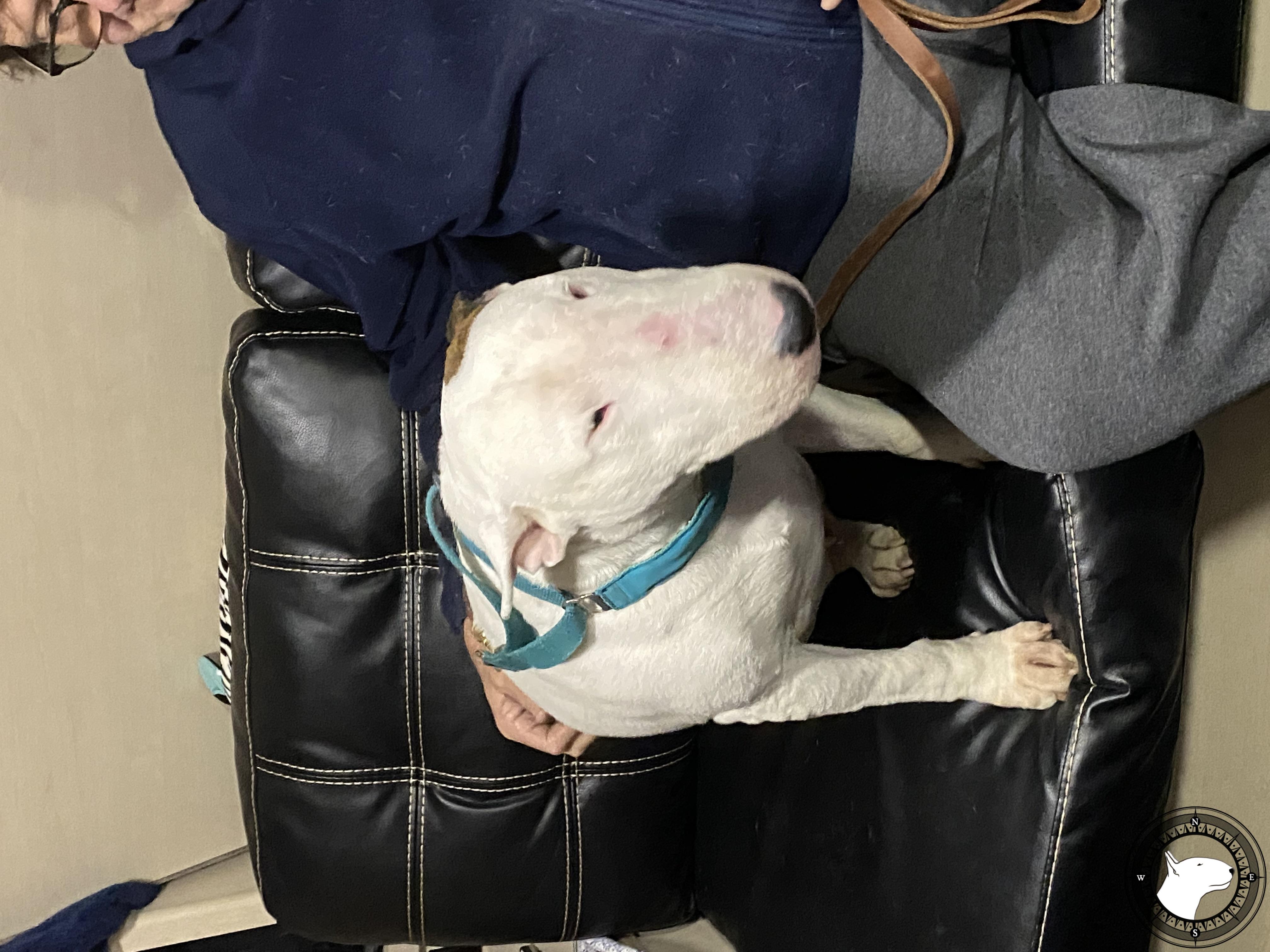 UNFAILLING OCEAN VIEW