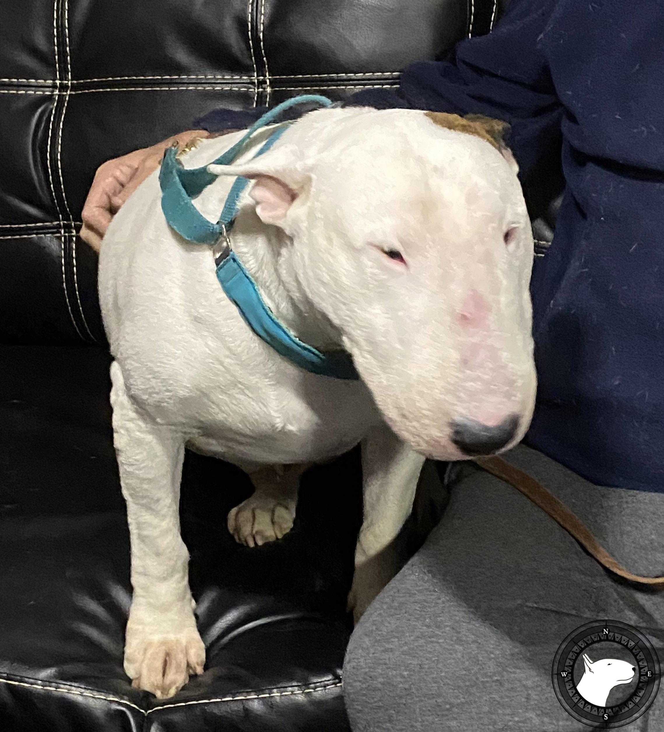 UNFAILLING OCEAN VIEW