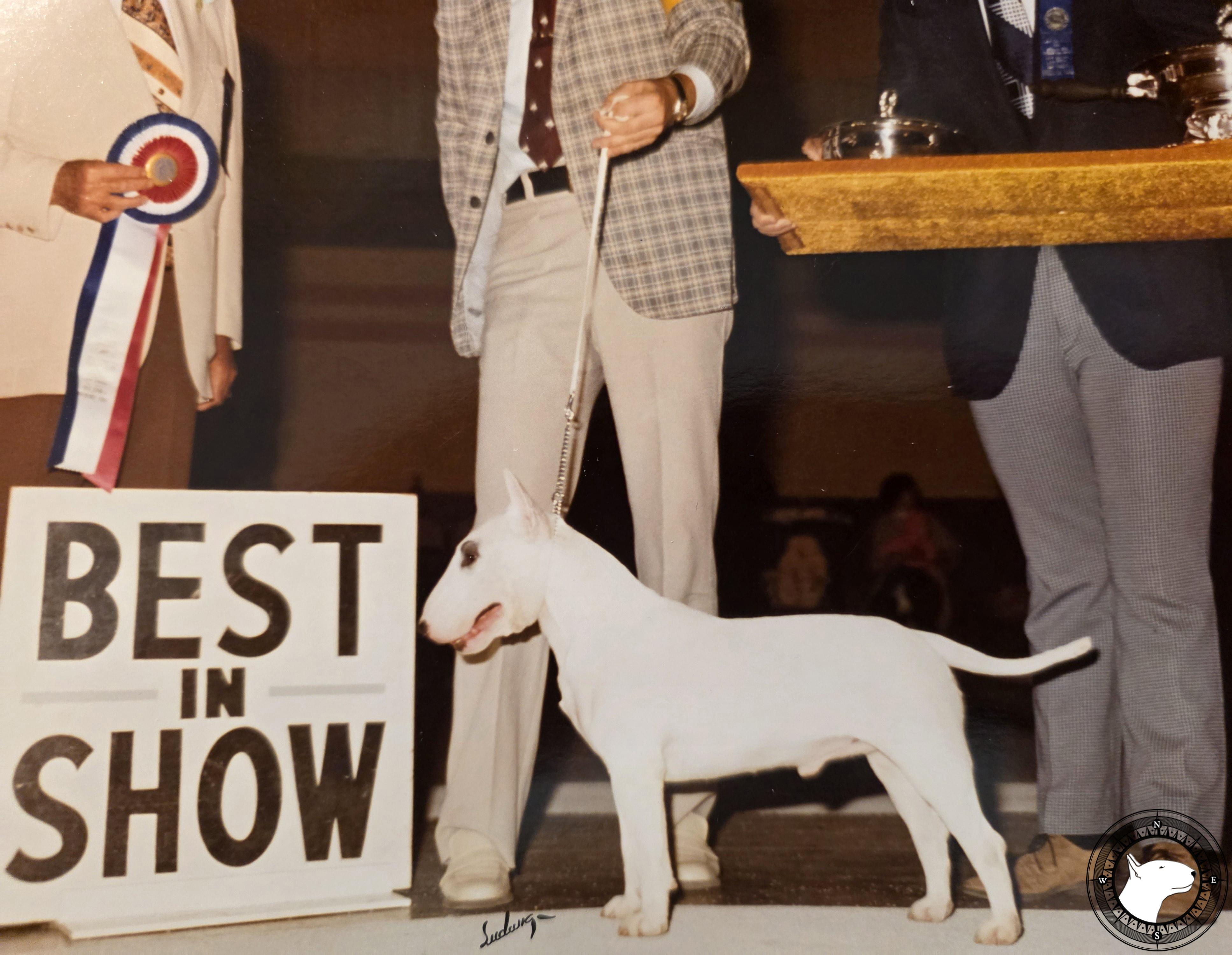 SOUPERLATIVE VERDICT OF BROADSIDE