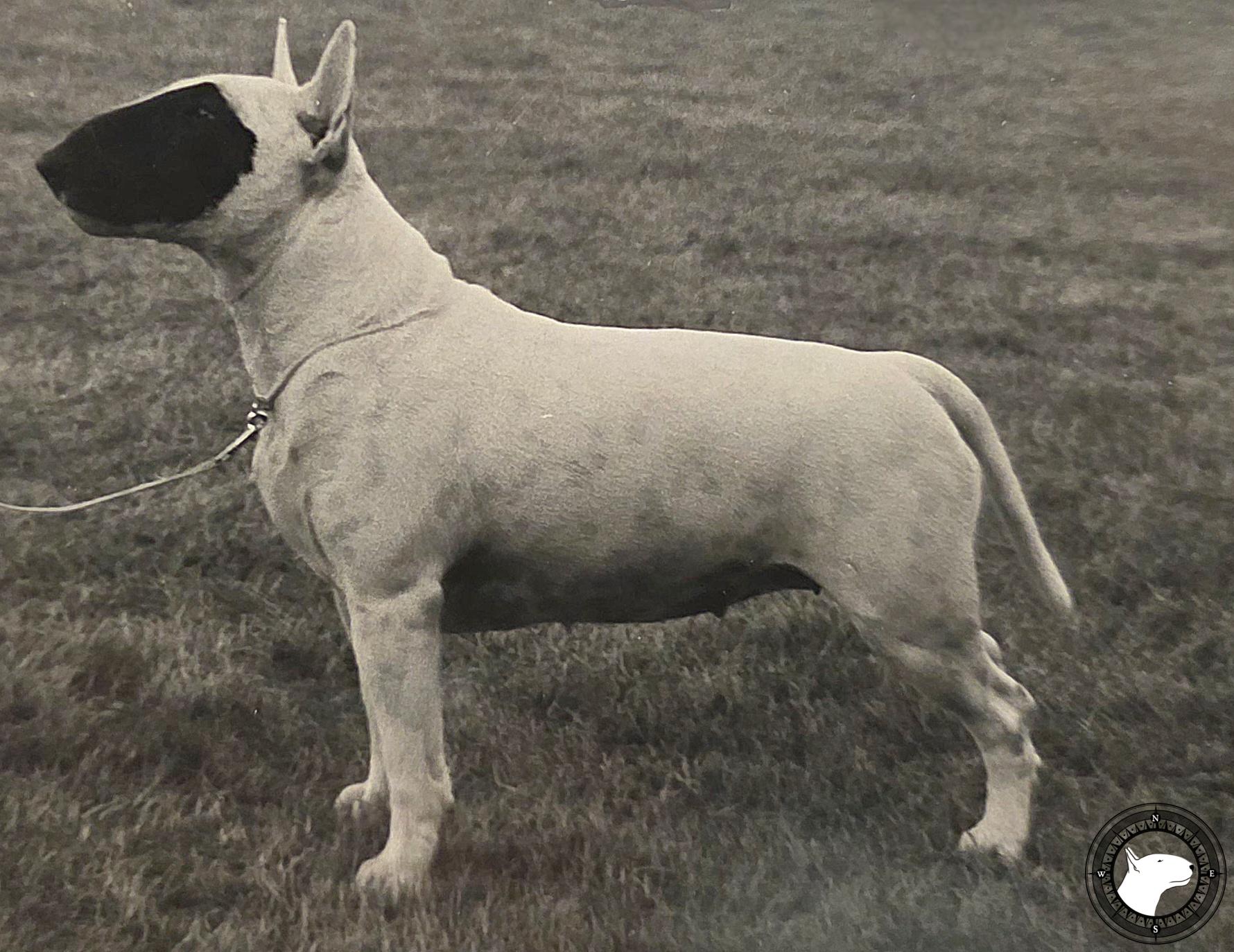 ACTION MAYBELENE OF MONTFORT