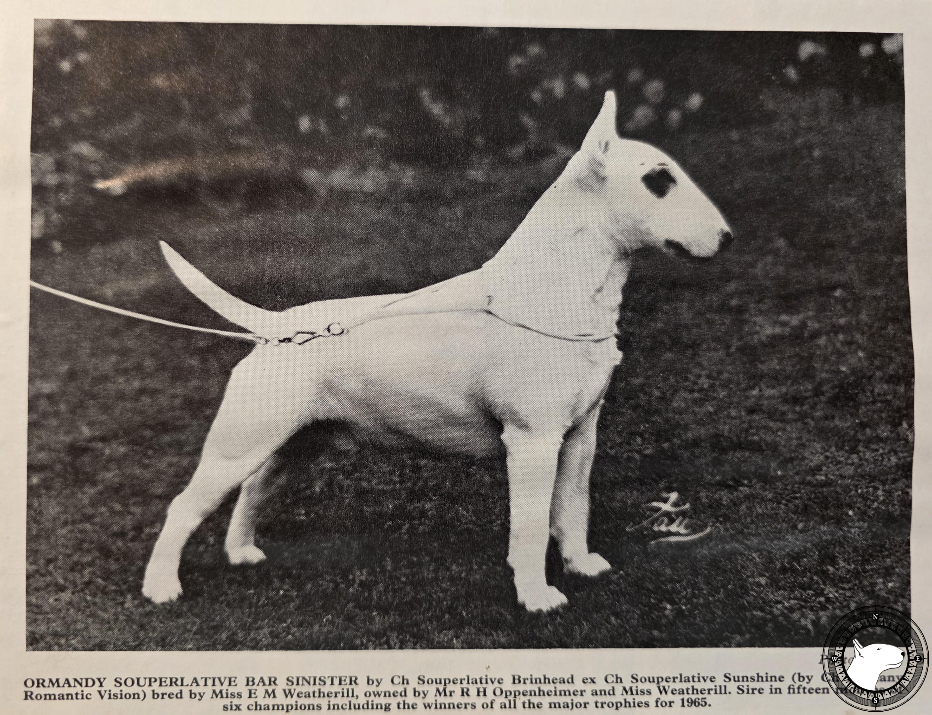 ORMANDY SOUPERLATIVE BAR SINISTER