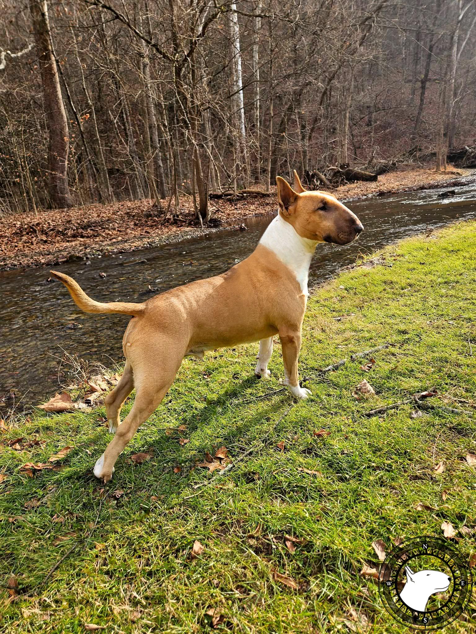 INDULGENCE THE NOTORIOUS COMPANY YOU KEEP