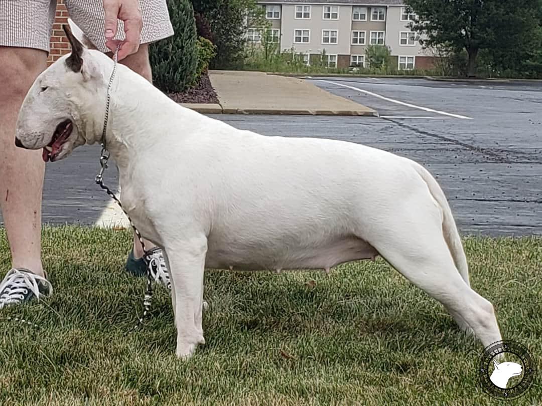 GLENTOM CREME BRULEE