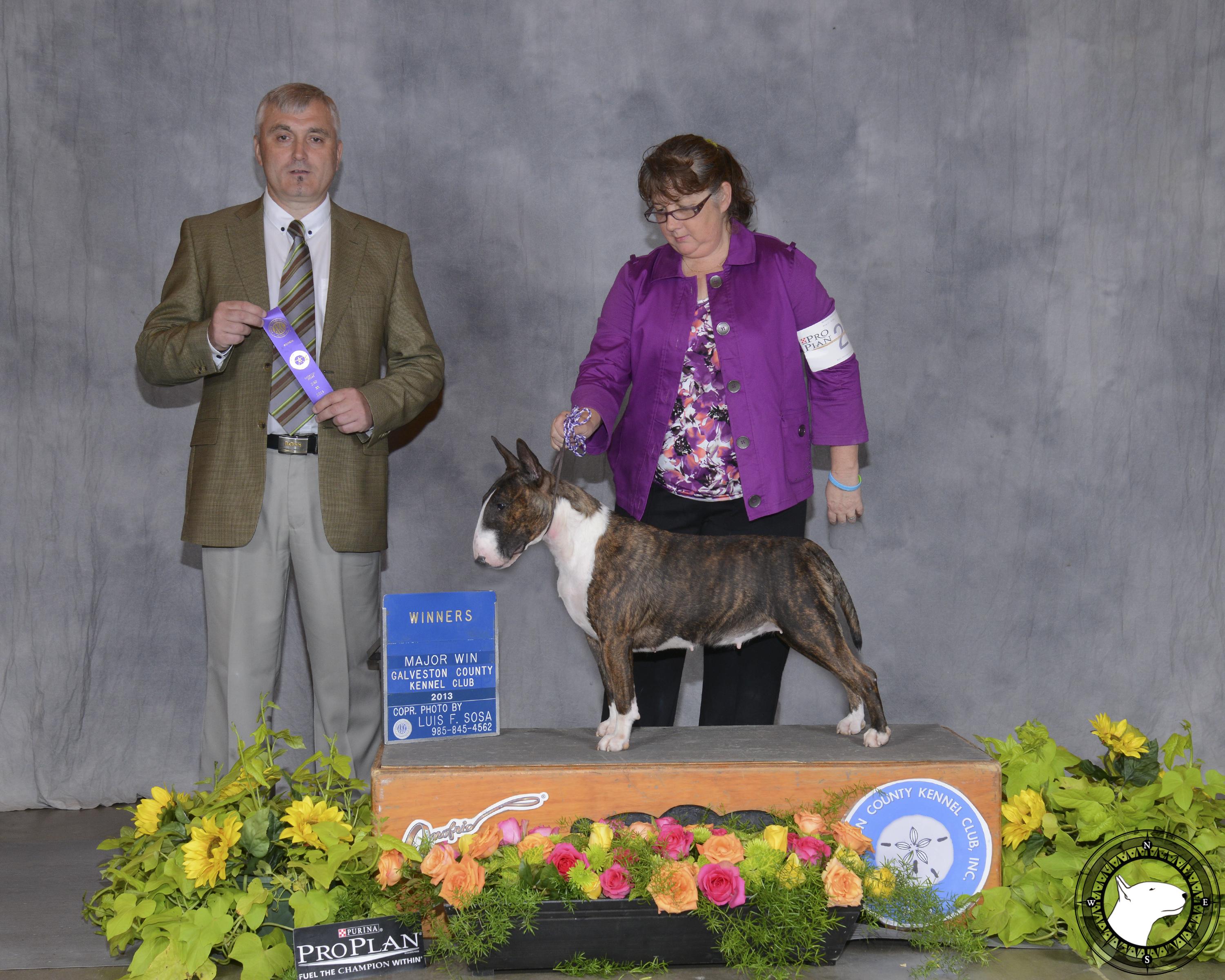 GLENTOM CREME DE CASSIS