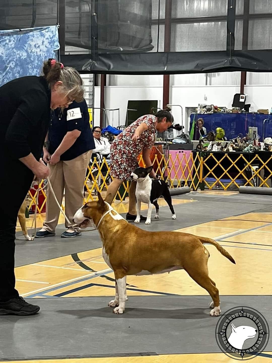 GLENTOM CREME DE FRAMBOISE