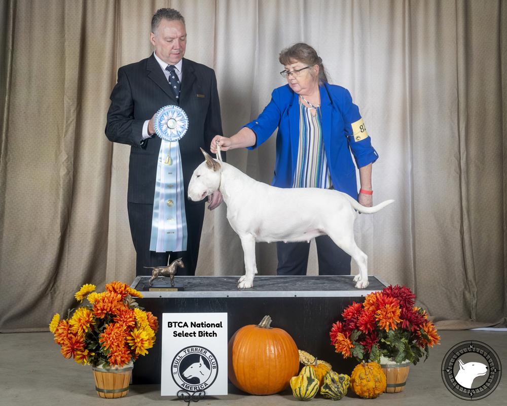 GLENTOM CREME DE L'ORANGE