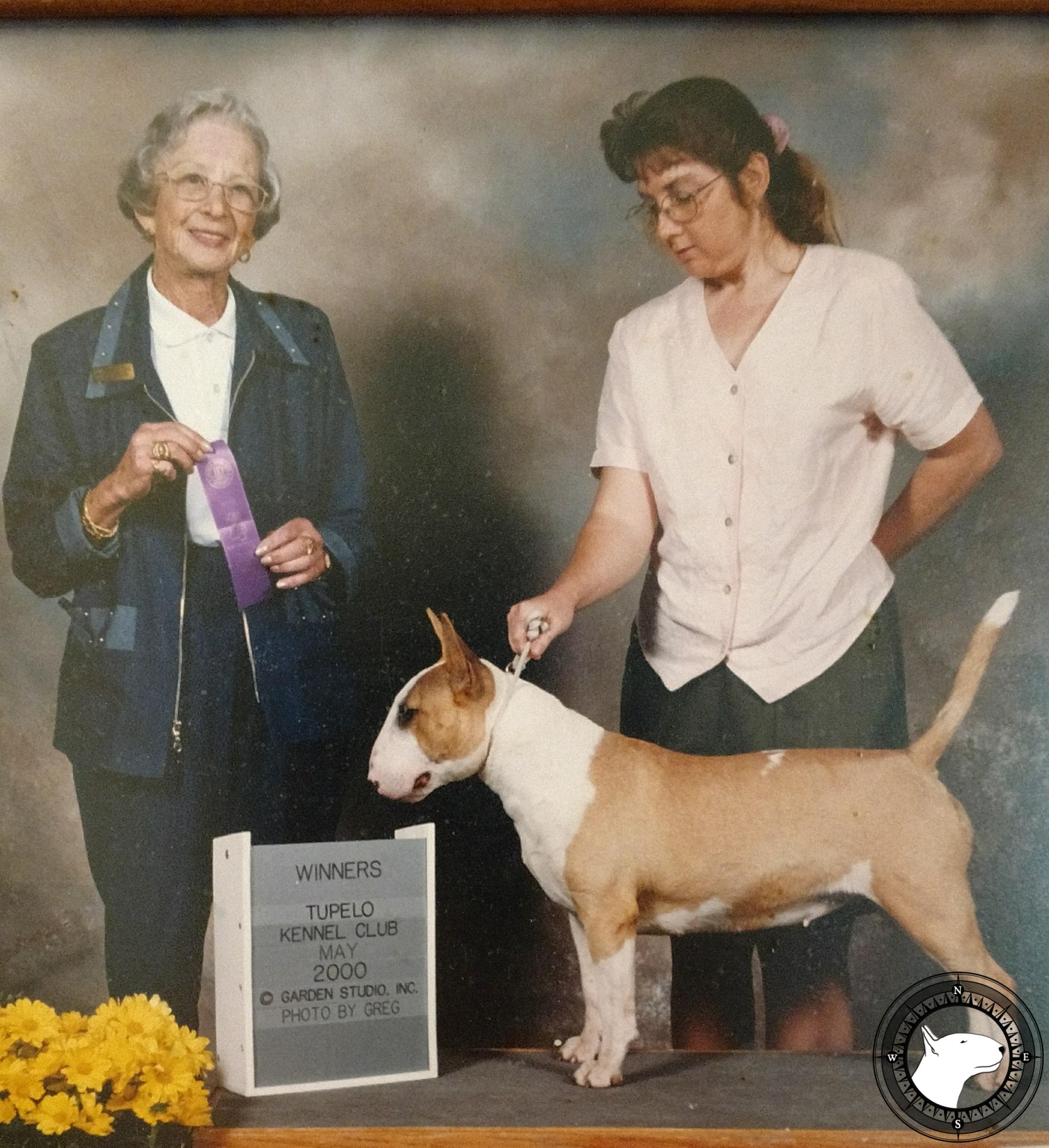 GLENTOM CREME DE MINT