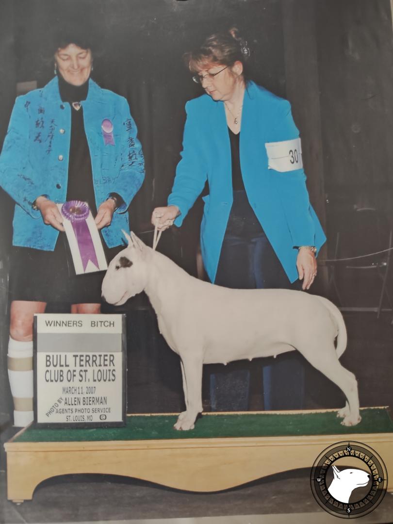 GLENTOM CREME FRESCH