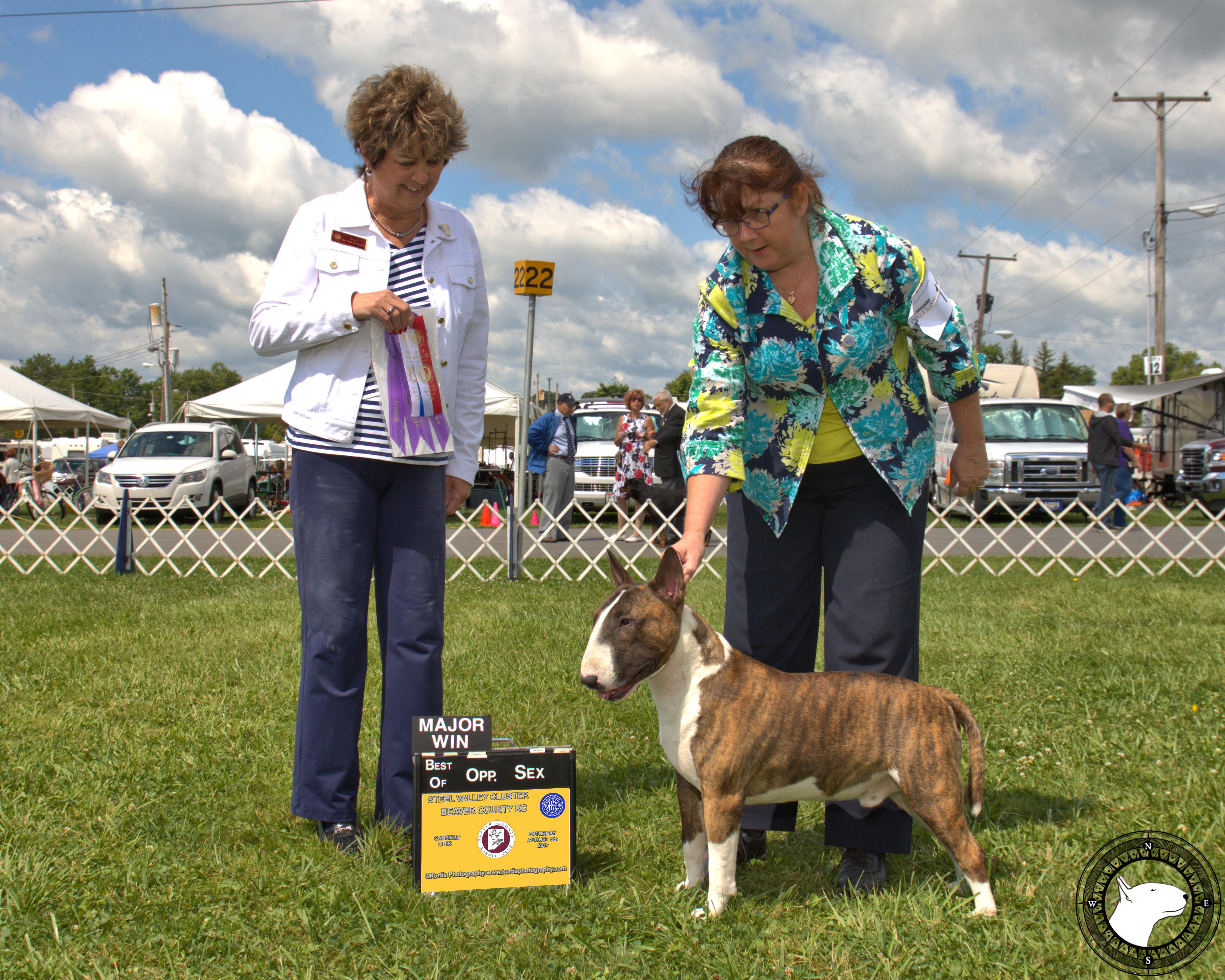 GLENTOM SEEKING HIS FORTUNE