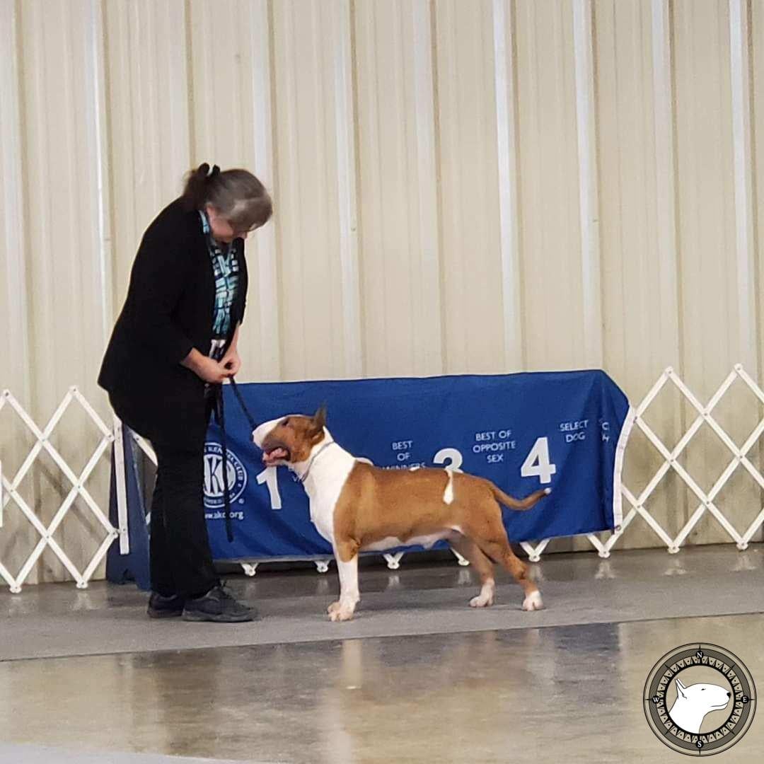 GLENTOM DISORGANIZED CRIME