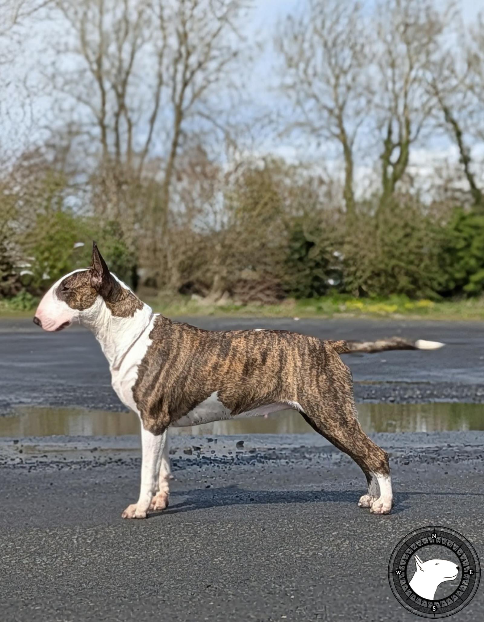 LOCA LOCA FOR PASKUDA FROM RESABIL