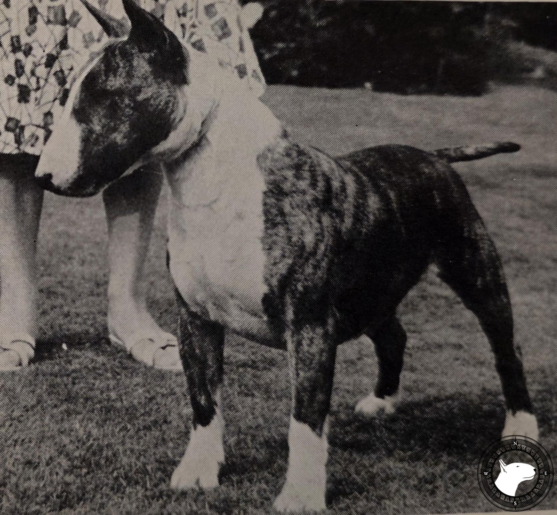 CHRISTMAS CAROL OF HOLLYFIR