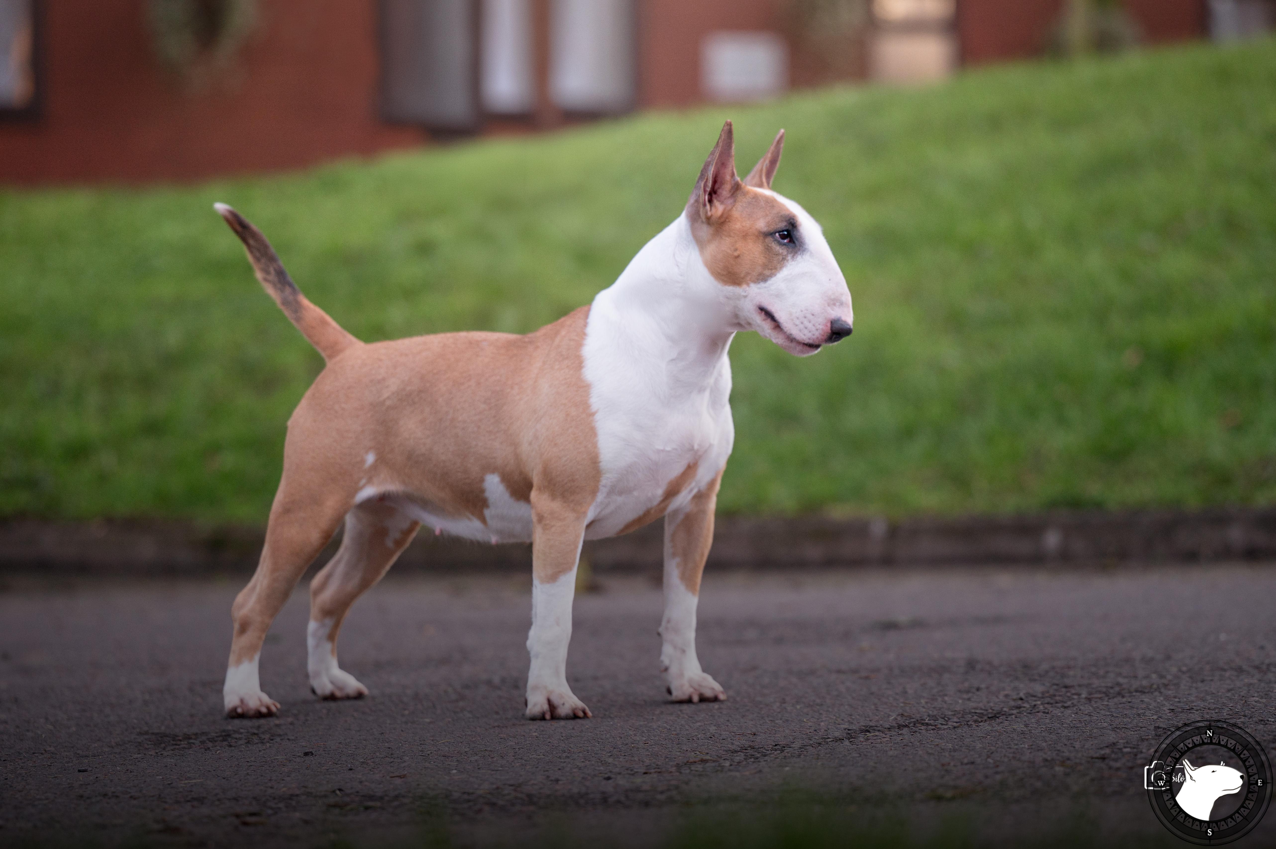 POISSON IVY IT FINALLY HAPPEN