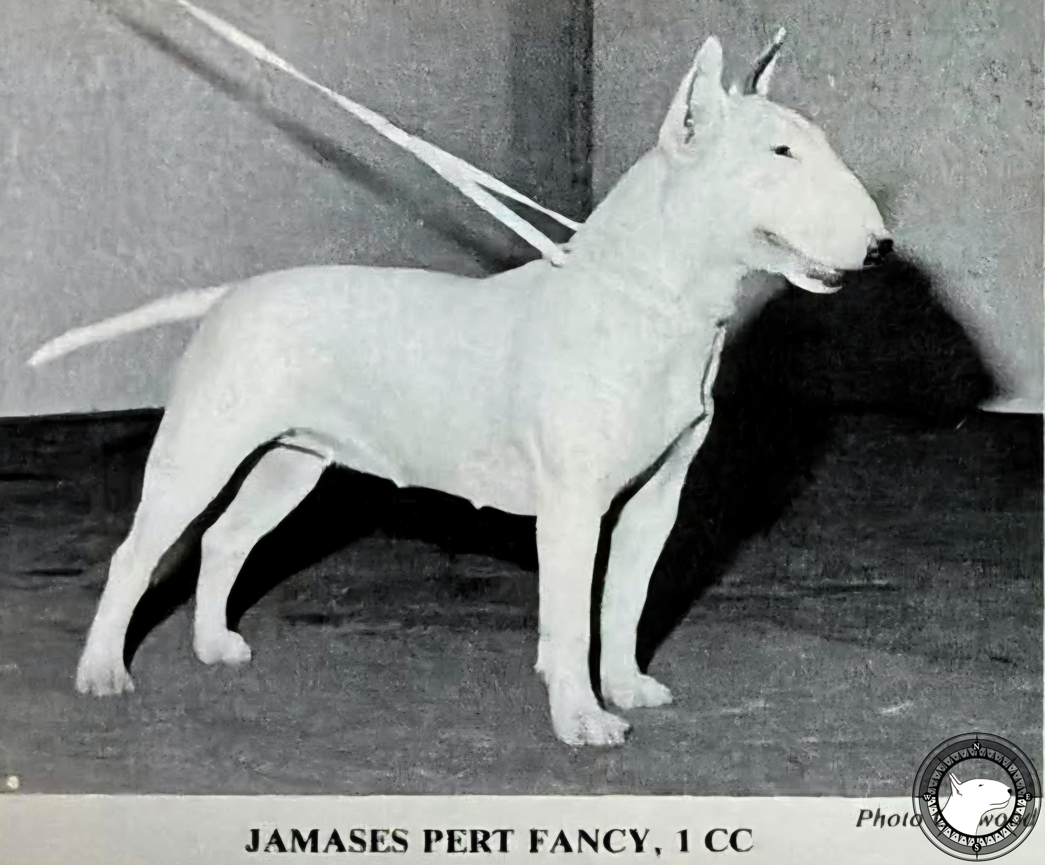 JAMASES PERT FANCY
