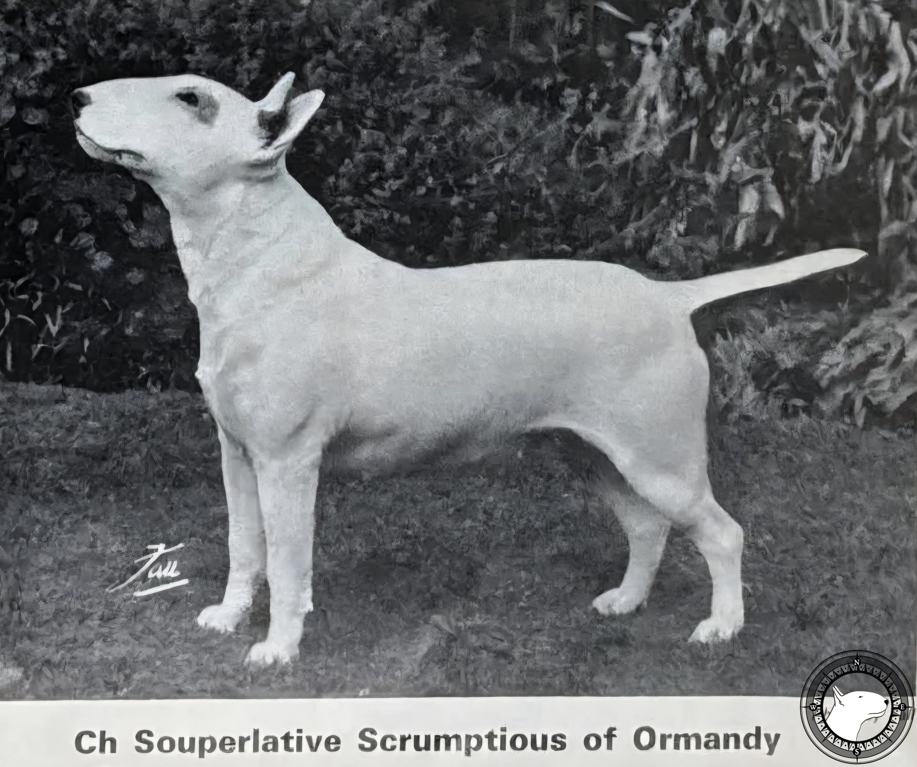 SOUPERLATIVE SCRUMPTIOUS OF ORMANDY