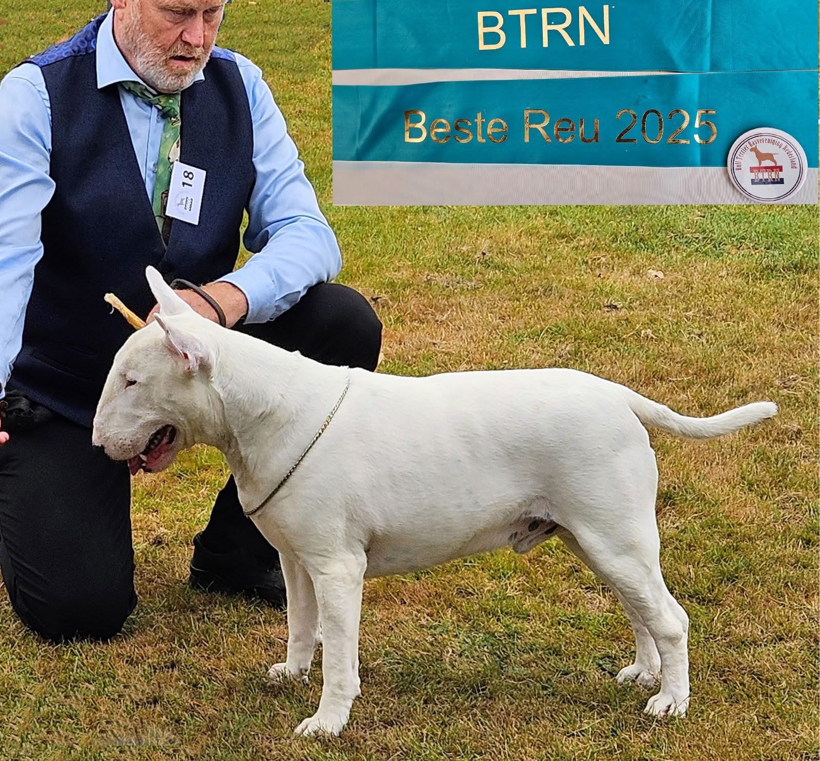 Sire